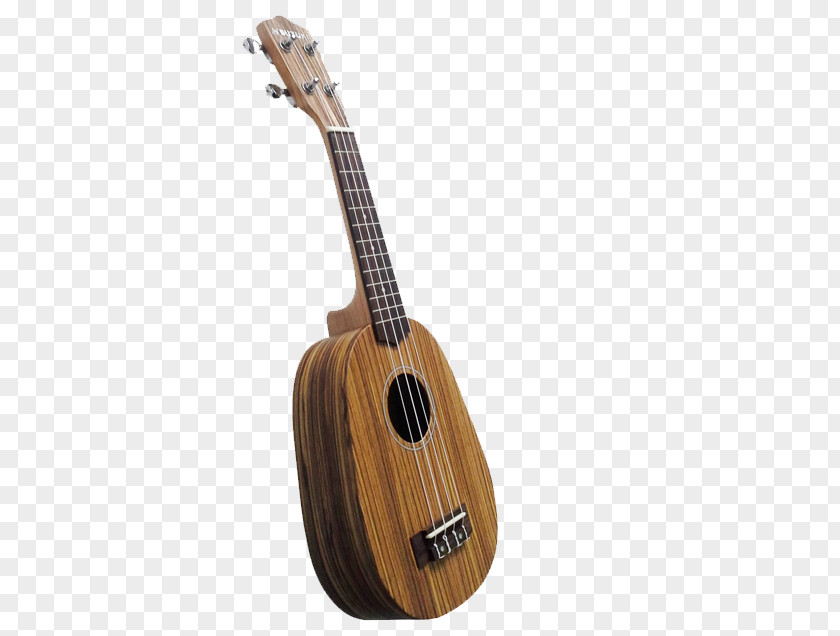 Acoustic Guitar Cuatro Ukulele Tiple Cavaquinho PNG