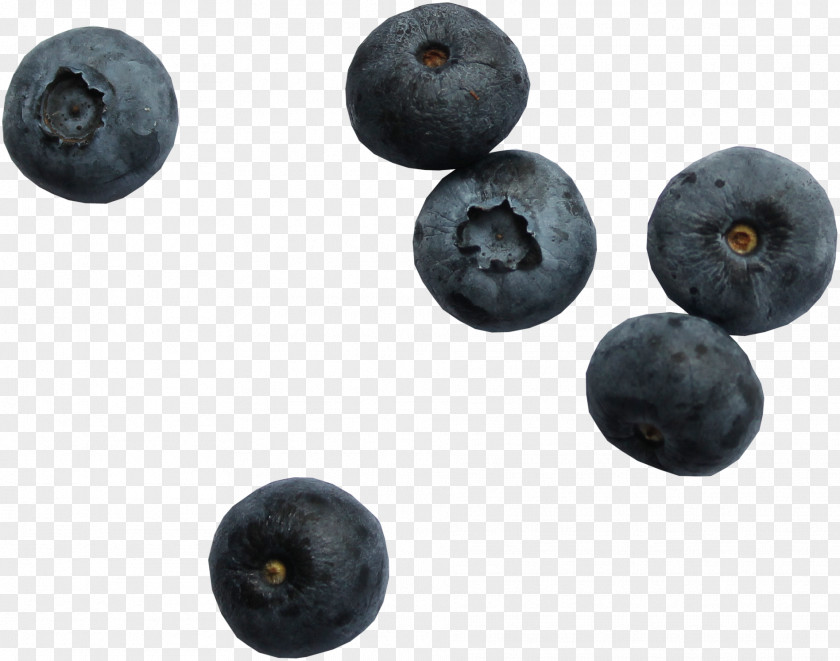 Blueberry Fruit Torte Bilberry PNG