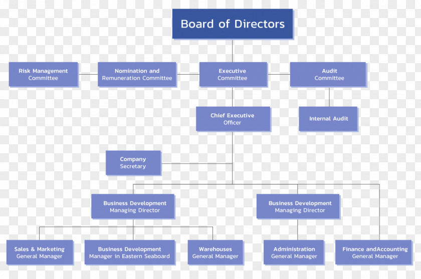 Board Of Directors Chart Organizational Structure Corporation PNG