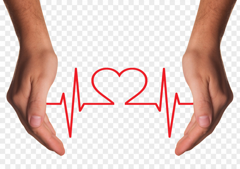 Hands Holding Red Heart With ECG Line Health Care Chronic Condition Disease Asthma PNG