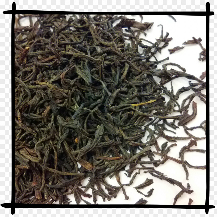 Tea Leaves Assam Baihao Yinzhen Keemun Nilgiri PNG