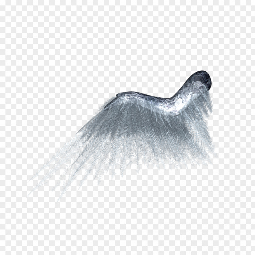 Wings DeviantArt Wing Butterfly PNG