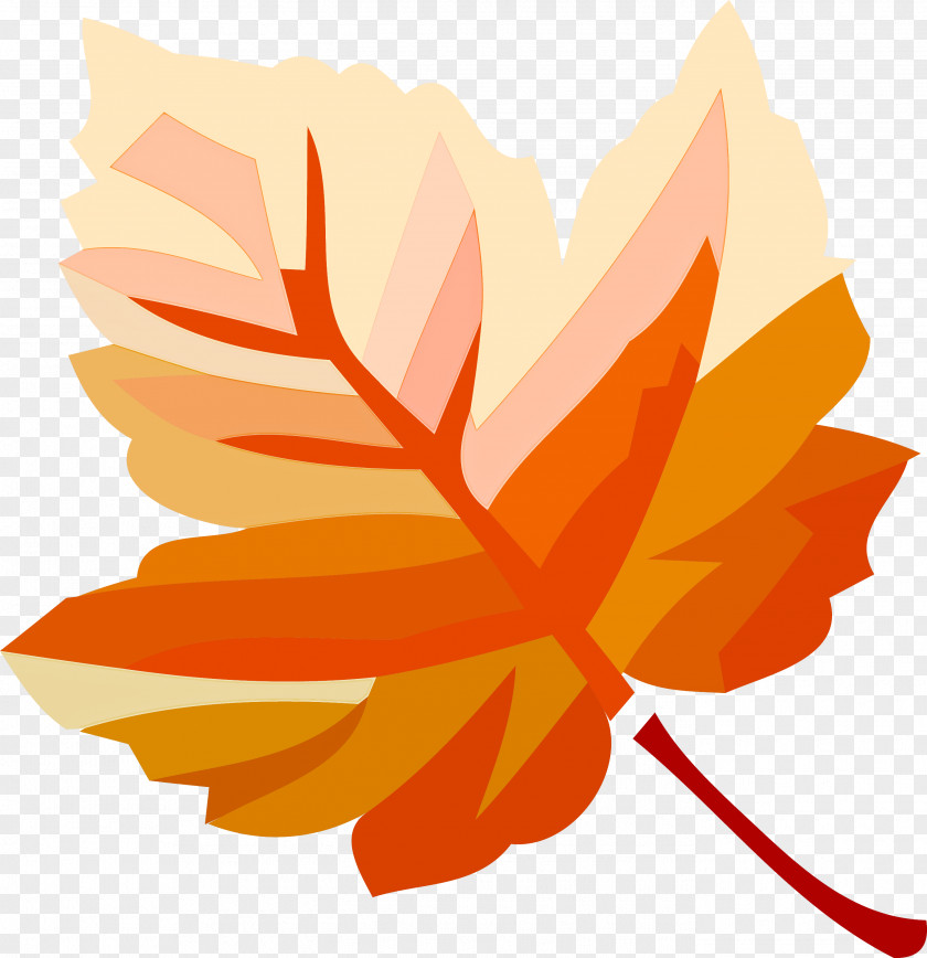 Autumn Leaf Fall Yellow PNG