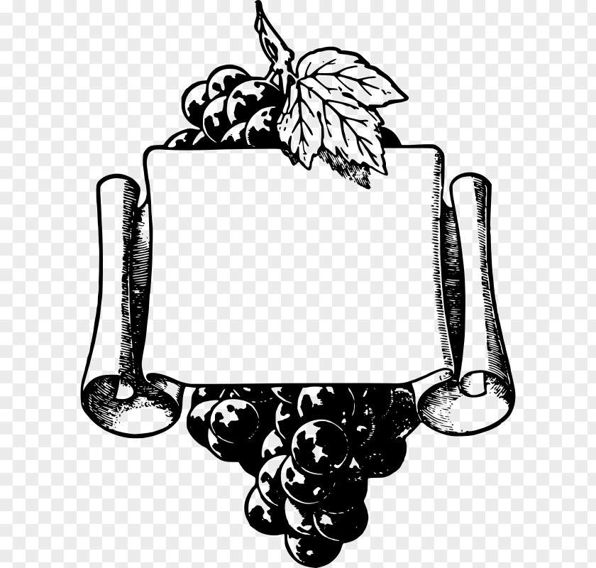 Border Frame Wine Common Grape Vine Picture Frames Clip Art PNG