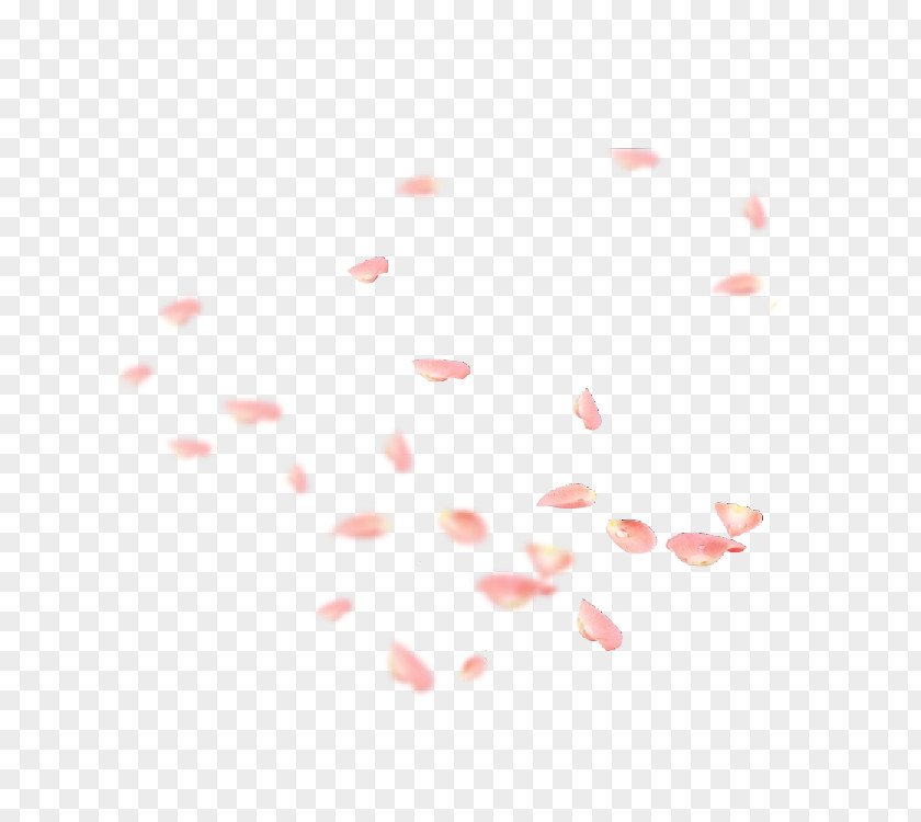 Falling Peach Petal Flower Pink Download PNG