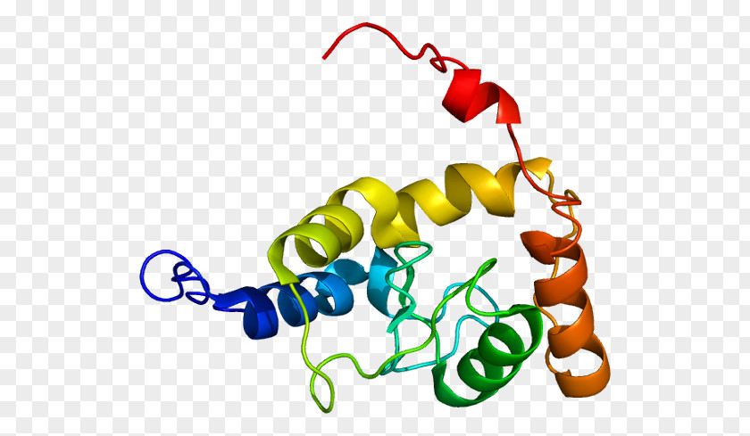 Gene Protein SMAP1 Wikipedia Human PNG