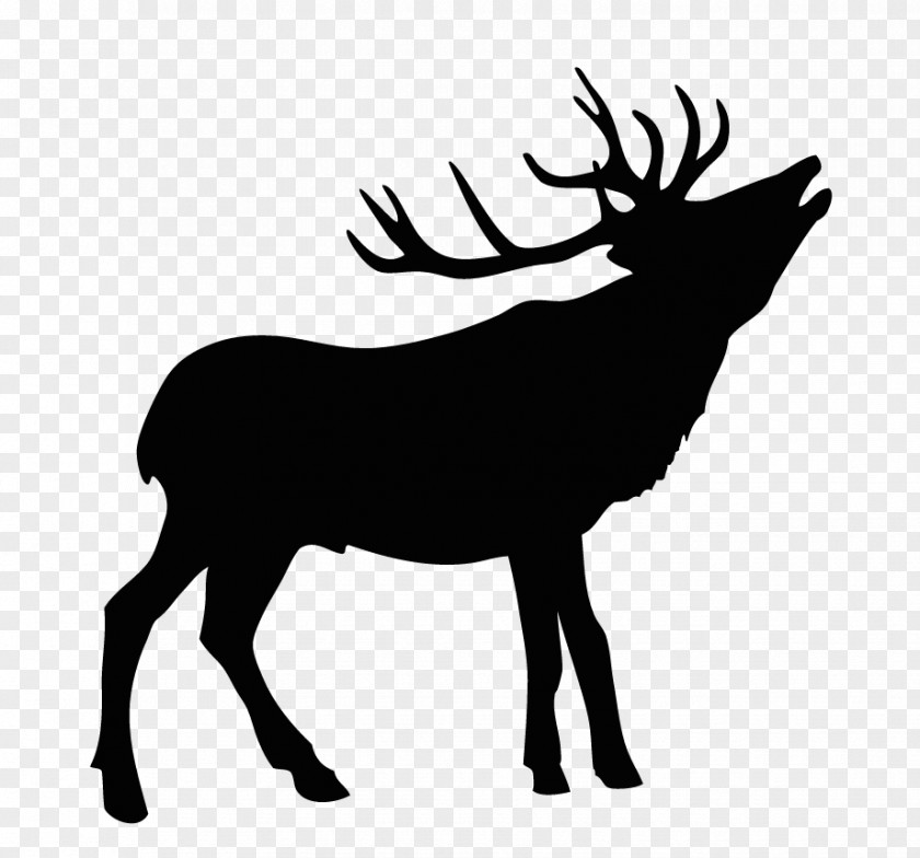 Inverloch Holiday Accomodation Moose DeerDeer Antler Elk Estate PNG