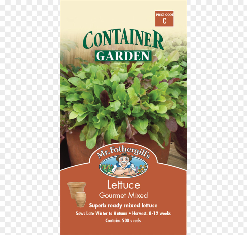 Lettuce Watercolor Leaf Vegetable Herb Basil Variety PNG