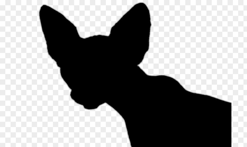 Silhouette Sphynx Cat Dog Breed Esfinge Egipcia Logo PNG