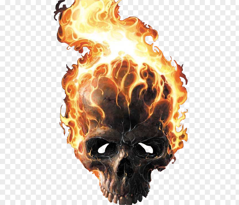 American Skull Johnny Blaze Danny Ketch Roxanne Simpson Ghost Vengeance PNG