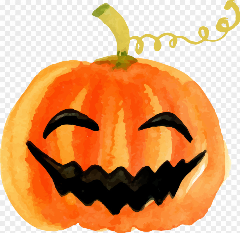 Halloween Pumpkin Watercolor Calabaza Jack-o'-lantern PNG