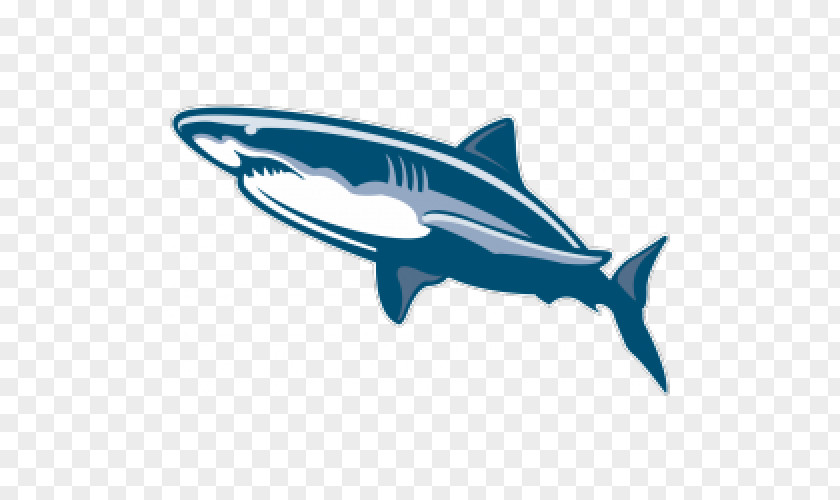 Shark Sand Tiger Great White Clip Art PNG