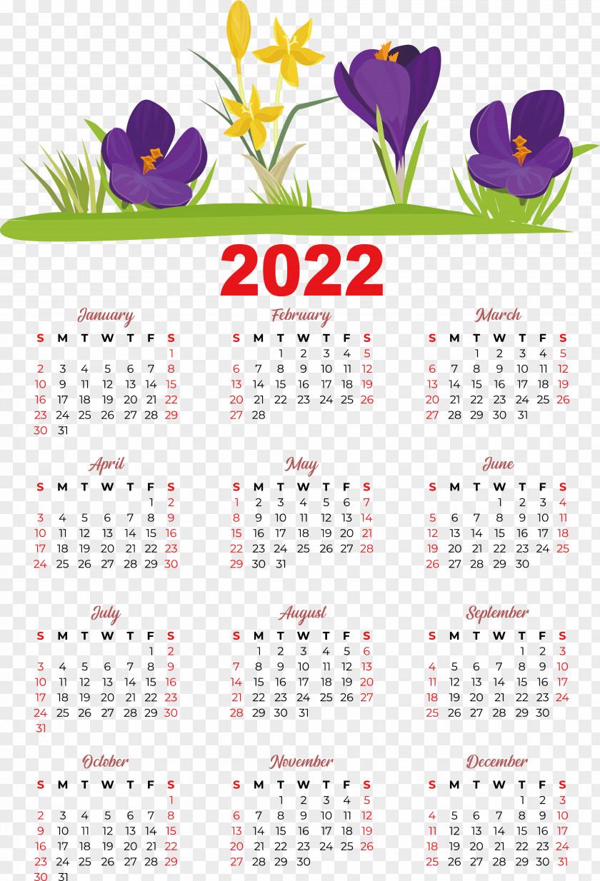Calendar Vector 2022 Available Text PNG