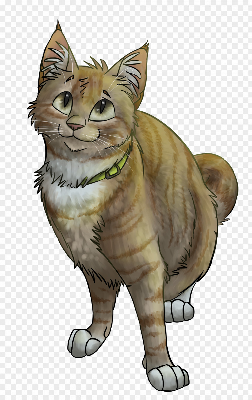 Cat Claw Tabby Wildcat Kitten Drawing PNG