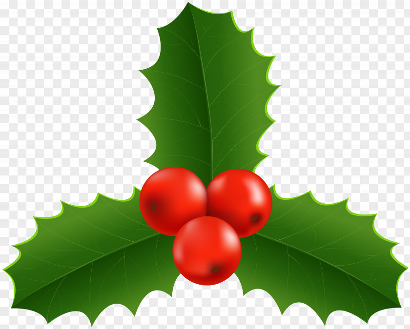 Cherry Fruit Christmas Tree Cartoon PNG