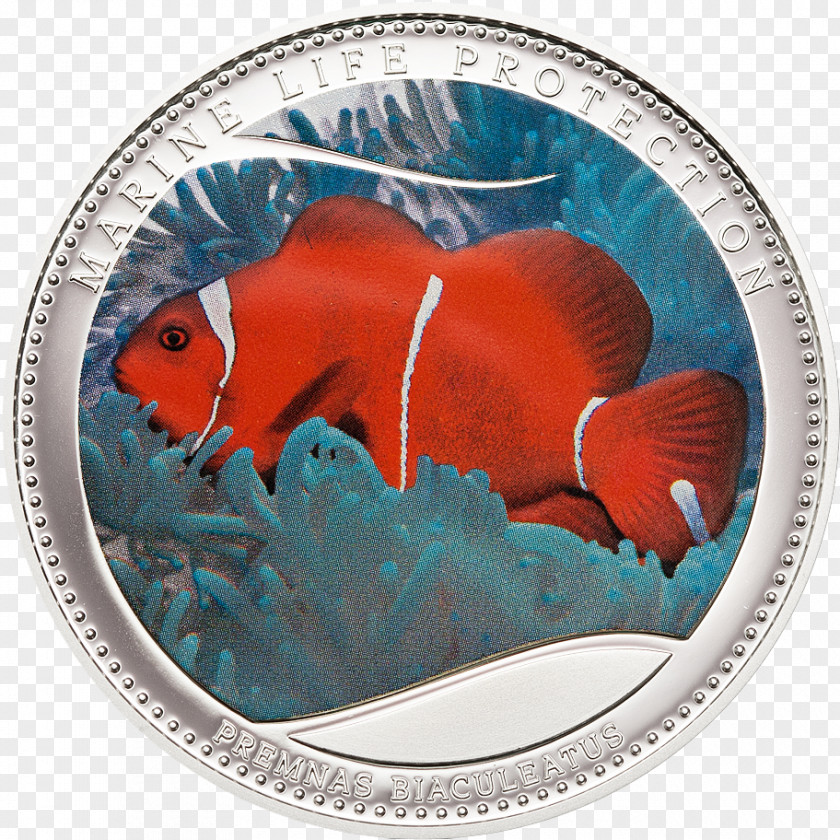 Coin Palau Silver Clownfish Metal PNG