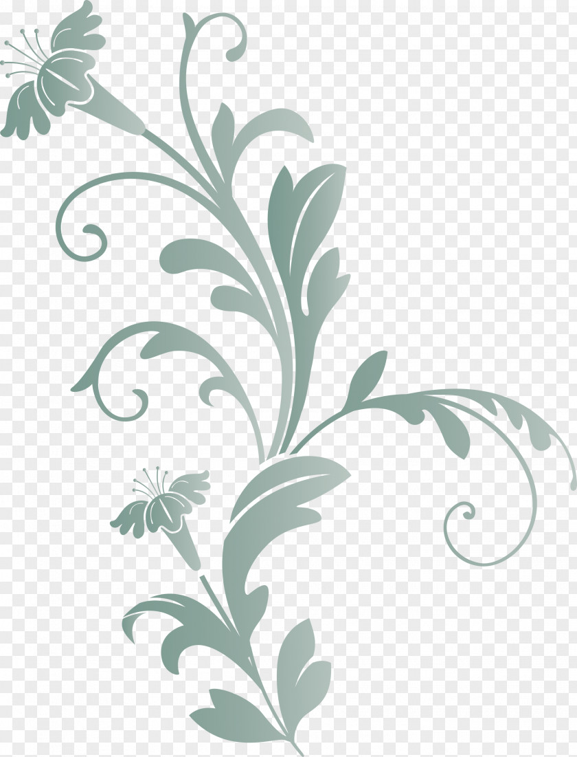 Decoration Frame Floral Flower PNG