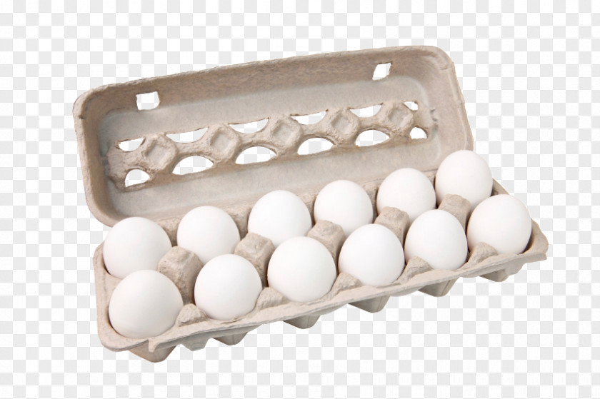 Egg Carton Stock Photography Chicken PNG