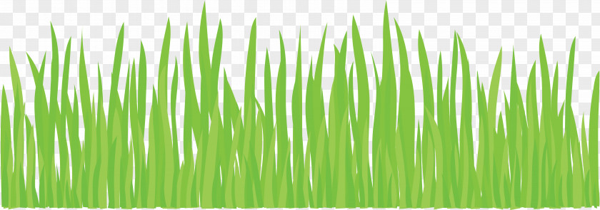 Grass Lawn Clip Art PNG