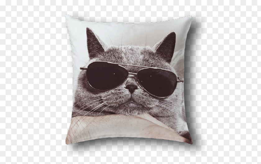 Kitten British Shorthair Funny Animal Stock Photography Cat Litter Trays PNG