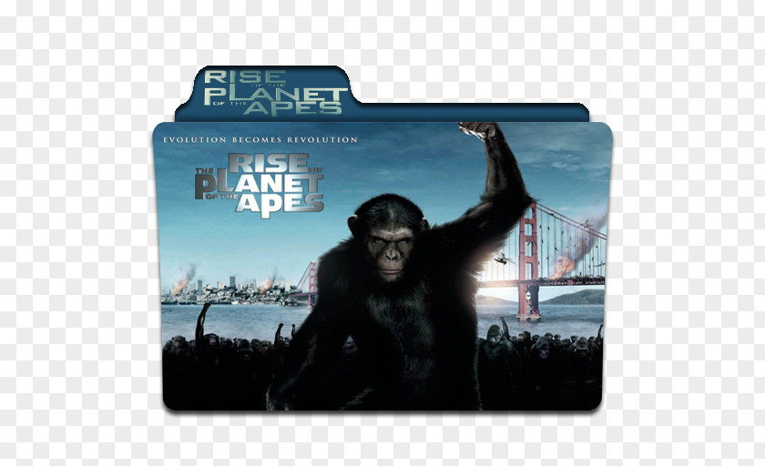 Planet Of The Apes YouTube Rise Film Dawn PNG
