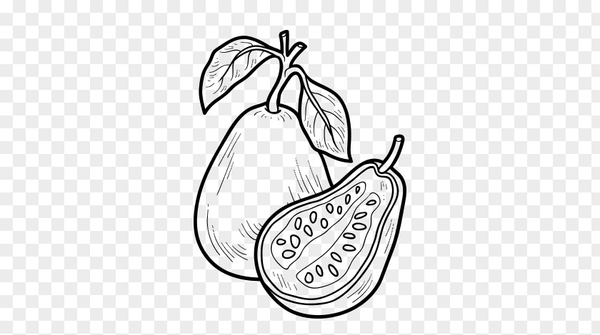 Vegetable Drawing Book For Kids Guava Fruit Coloring PNG