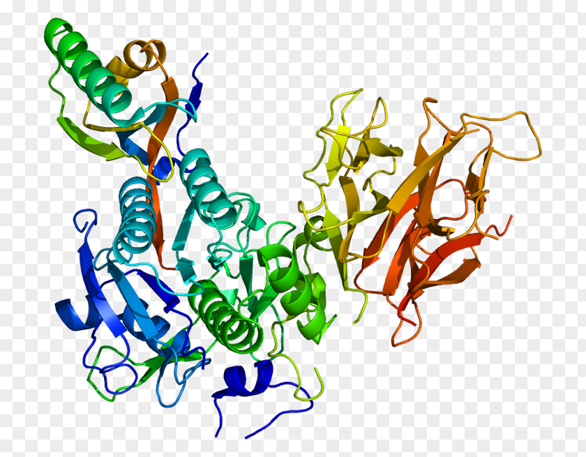 Cartoon Test Tubes PCSK9 Bococizumab Protein Alirocumab Statin PNG