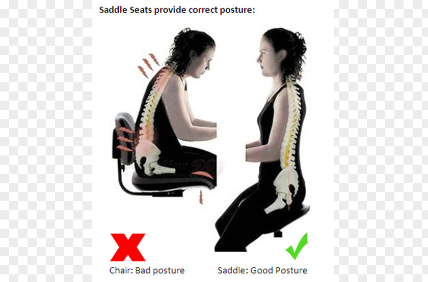 Chair Office & Desk Chairs Saddle Kneeling Posture PNG