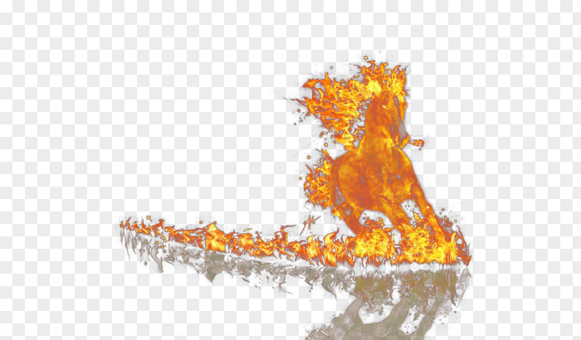 Fire Horse Flame Computer File PNG
