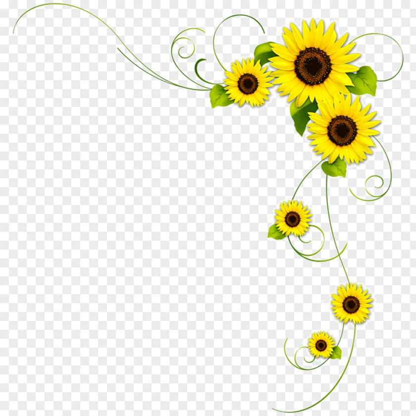Footer Clip Art Vector Graphics Image Flower PNG