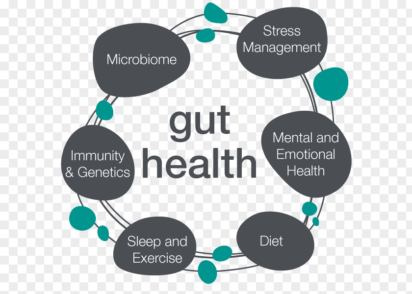 Health Human Microbiome Project Gastrointestinal Tract Microbiota Gut Flora Probiotic PNG