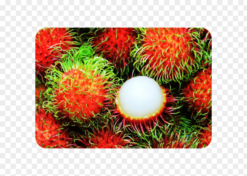 Juice Tropical Fruit Rambutan Pitaya PNG