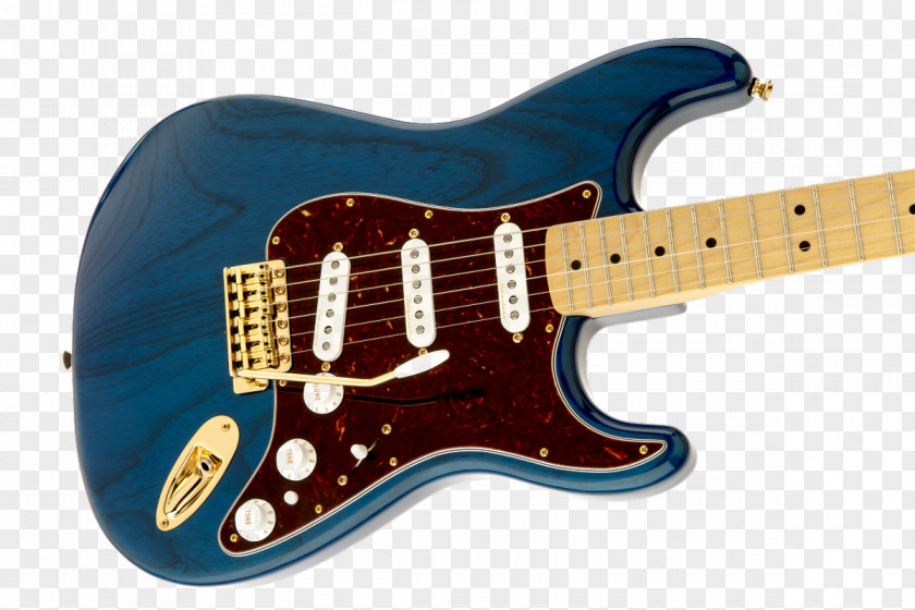 M-audio Fender Stratocaster The Black Strat Electric Guitar Fingerboard PNG