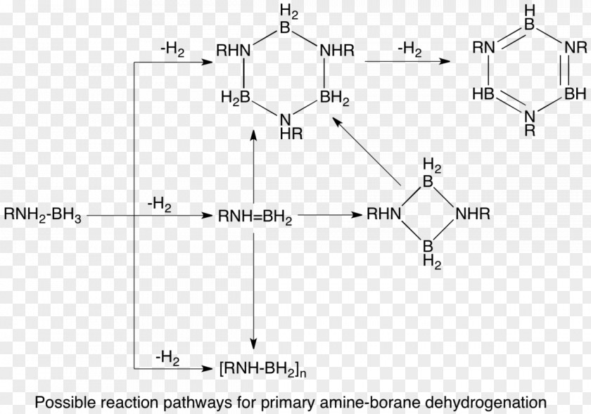 Organometallic Chemistry Dehydrogenation Of Amine-boranes Ammonia Borane PNG