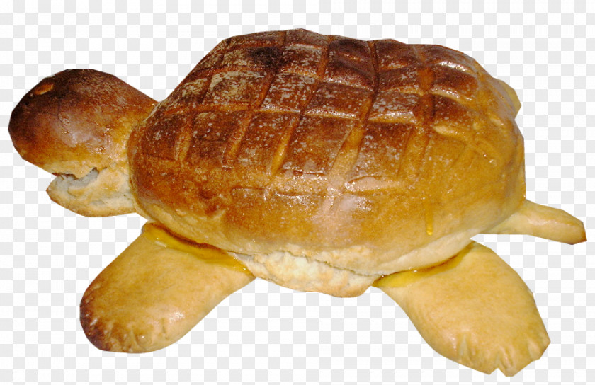 Bun Croissant Tortoise PNG