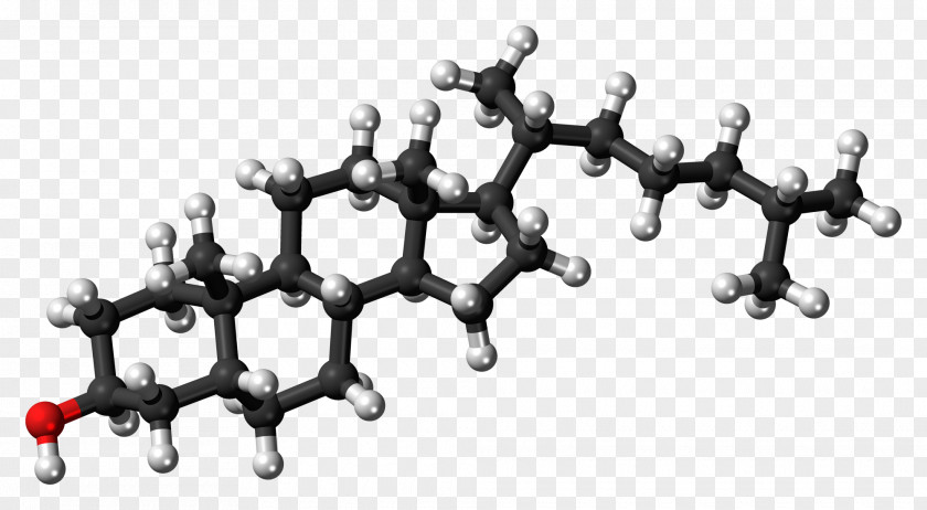 Cholesterol Ball-and-stick Model Lipid High-density Lipoprotein Steroid PNG