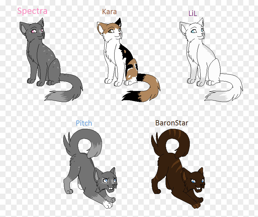 Kitten Cat Whiskers Warriors Tiger PNG