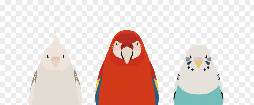 Vector Three Parrots Parrot Penguin Clip Art PNG
