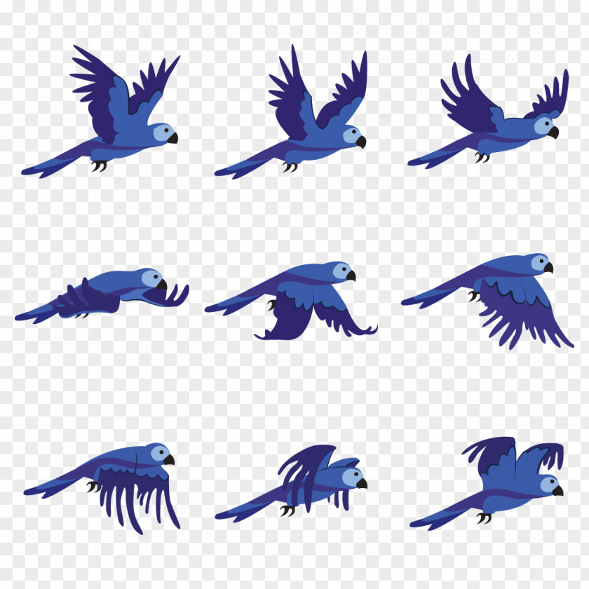 Bird Beak Parrot Animation Royalty-free PNG