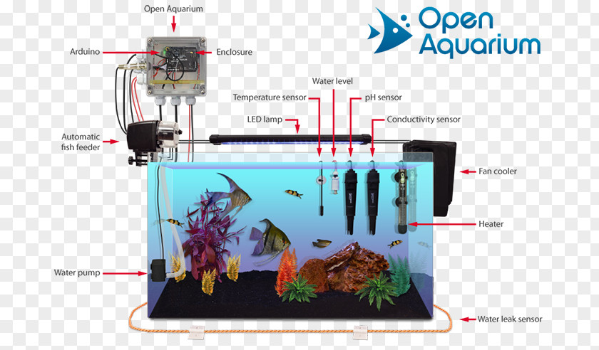 Corporate Representative Aquariums Heater Aquaponics Fish PNG