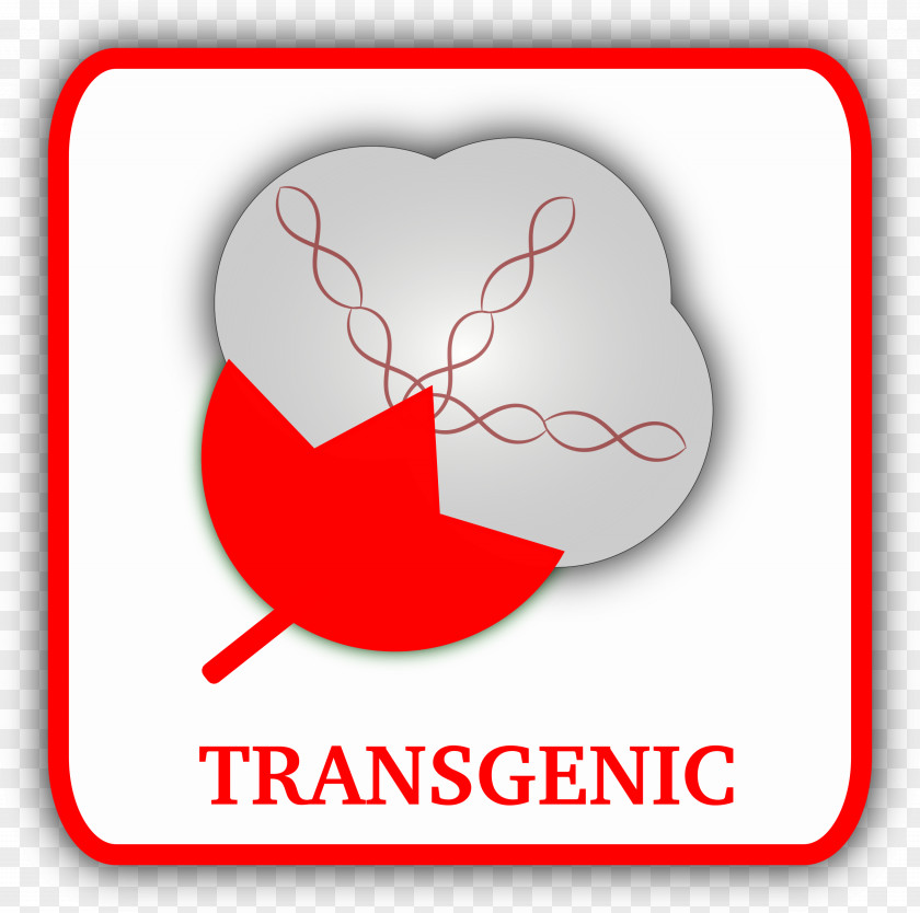 COTTON Cotton Transgene Genetically Modified Organism Clip Art PNG