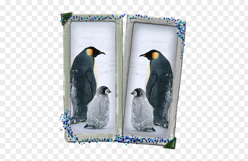 Feel Penguin IPhone XS 6 Plus XR PNG