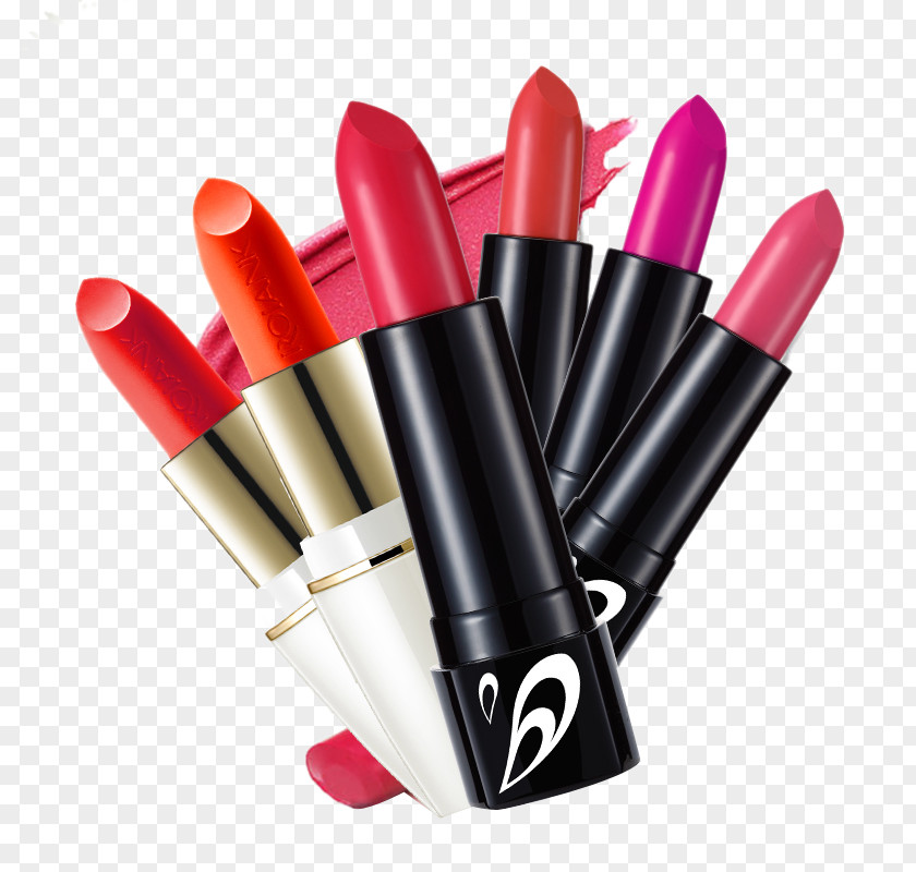 Shell Series Of Black And White Lipstick Guangzhou Make-up Cosmetics PNG