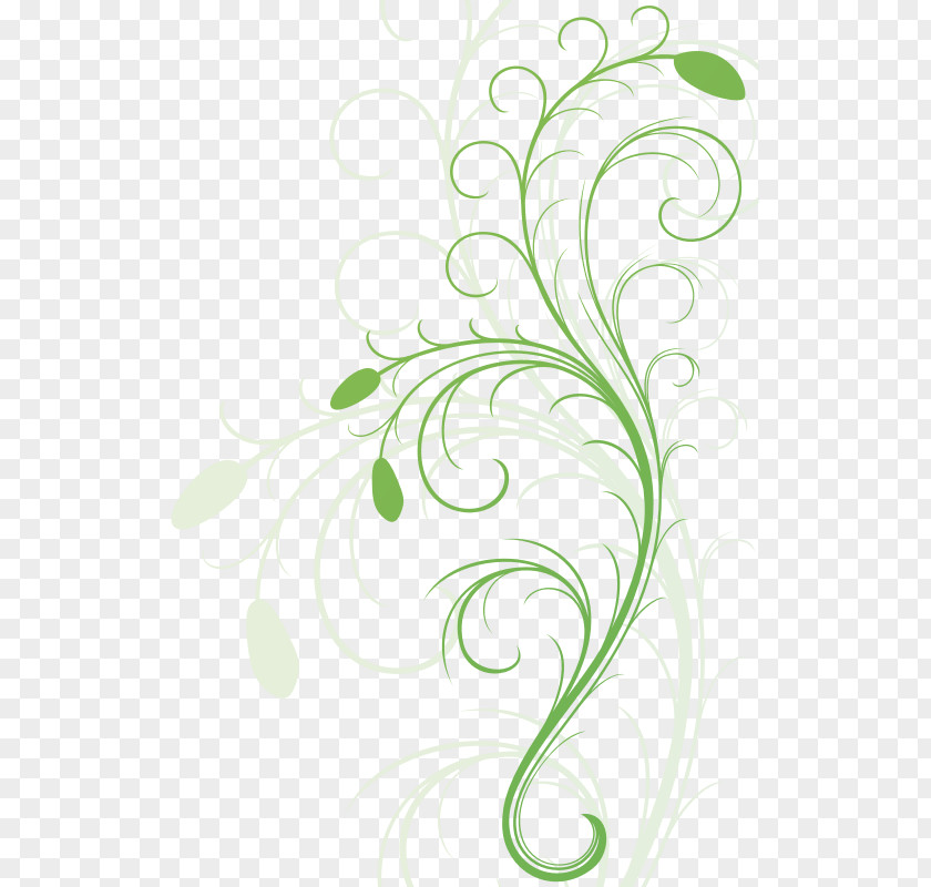 Decorative Flower Vine Desktop Wallpaper Clip Art PNG