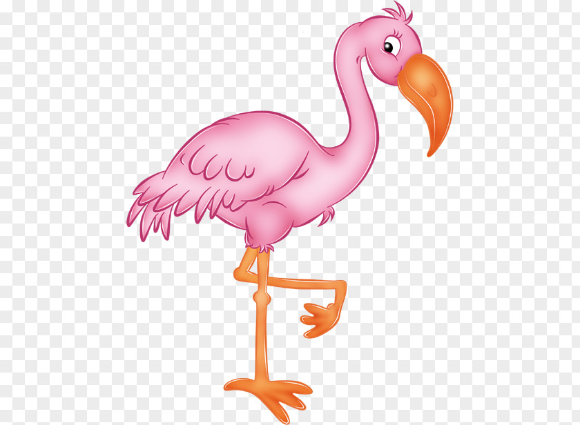 Flamingo Drawing Clip Art PNG