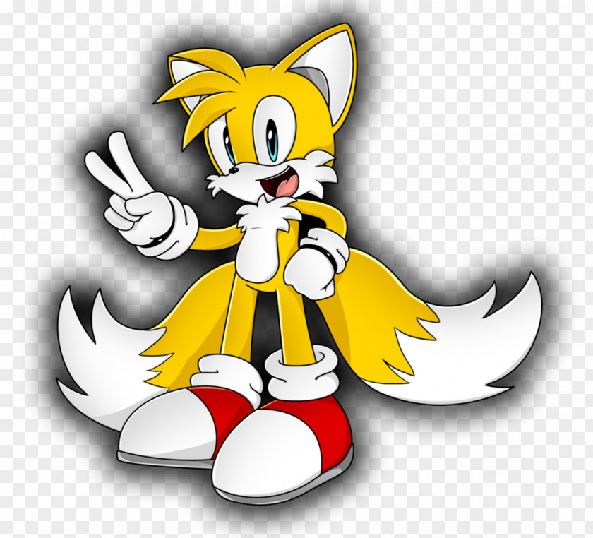 Sonic The Hedgehog Tails Shadow Riders DeviantArt PNG