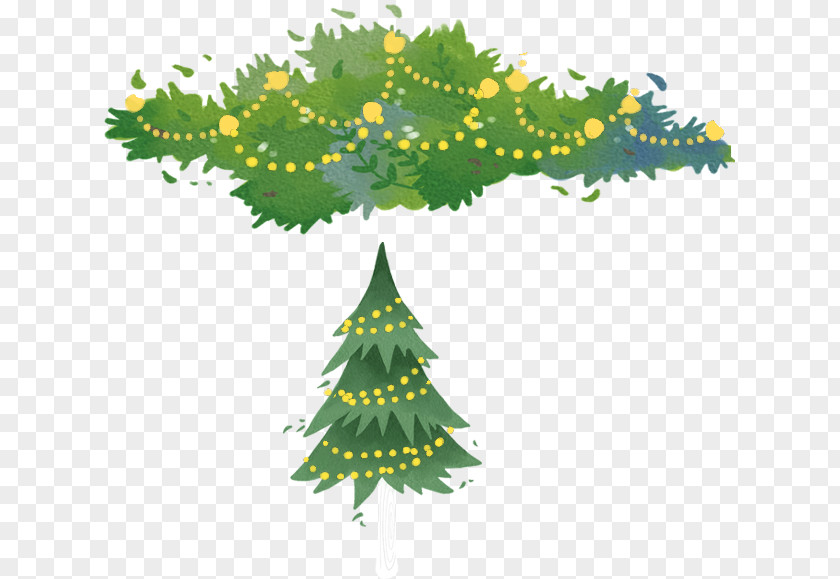 Tree Christmas Spruce Fir Pine PNG