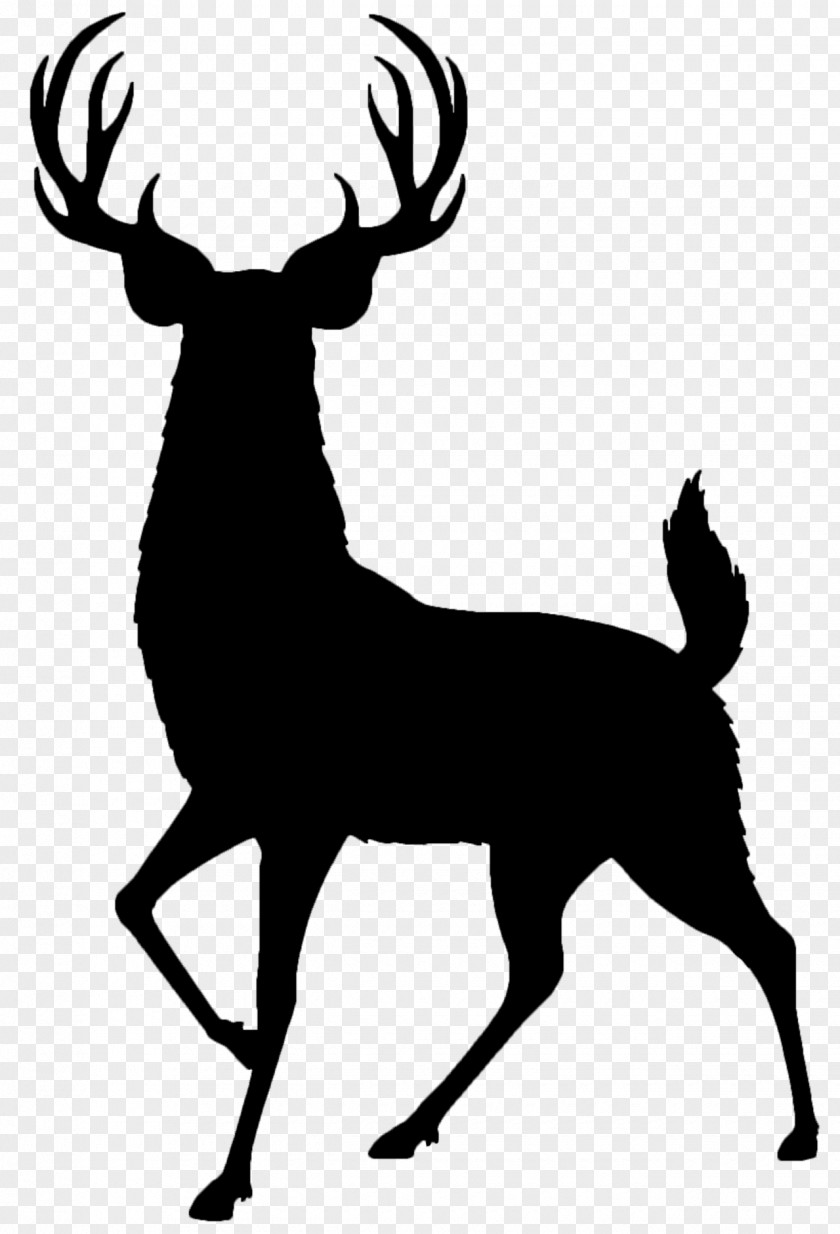 White-tailed Deer Clip Art Red Hunting PNG
