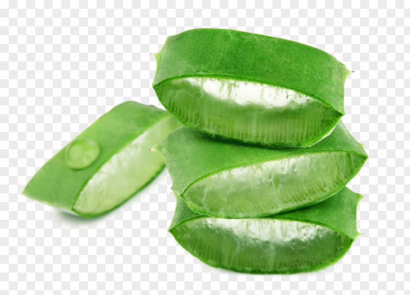 Aloe Vera Cosmetics Australia Gel PNG