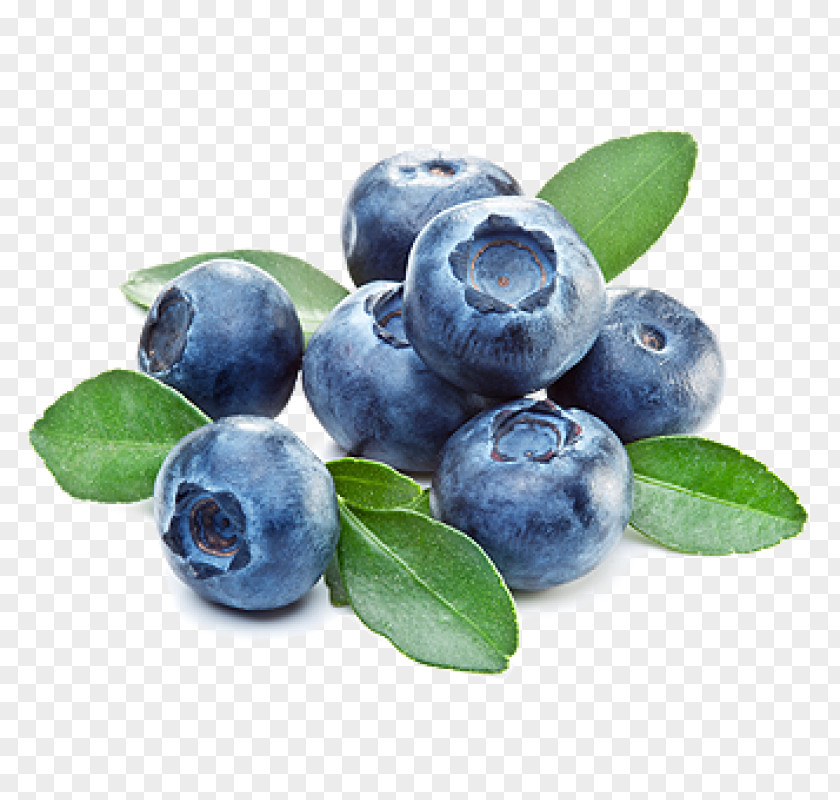 Blueberry Bilberry Flavor Food Custard PNG